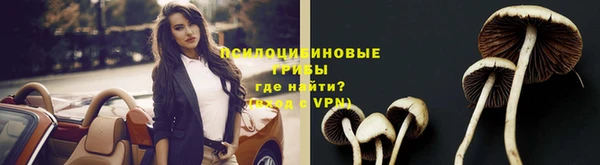 круглые Каменка