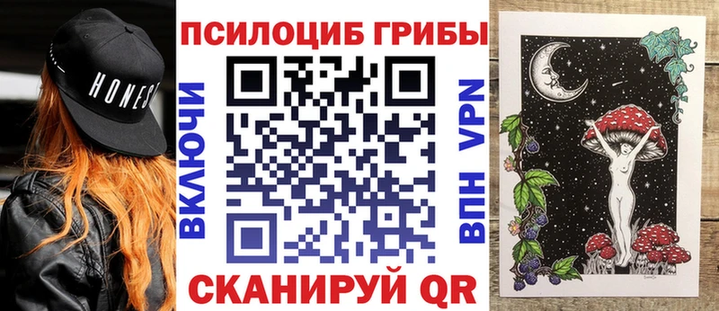 Псилоцибиновые грибы GOLDEN TEACHER  Купить  Кимры 